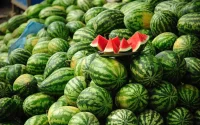 Les pastèques marocaines arrivent en Europe, mais pas comme prévu
