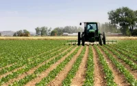 Des pesticides interdits en Europe vendus au Maroc