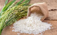 Riz : le Maroc attaque à l'OMC
