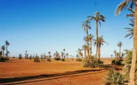 Le Maroc ne veut plus dépendre de la pluie
