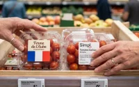 Tomates cerises : le Maroc inonde le marché français, les producteurs locaux fulminent
