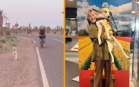 Maroc : Une chienne a suivi des touristes sur 80 kilomètres et trouve refuge au Royaume-Uni