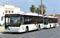 700 nouveaux bus pour Casablanca cette année