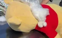 Italie-Maroc : 60 000 euros cachés dans une peluche Winnie l'Ourson