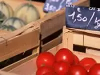 Une délégation saoudienne à kénitra