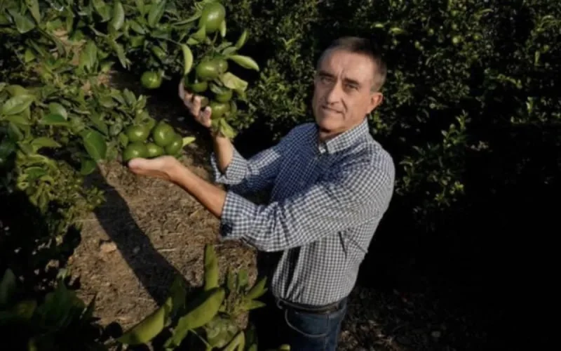 Un agriculteur de Murcie gagne son procès contre Mohammed VI 