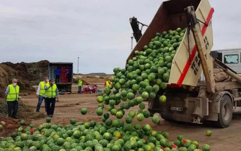 Les agriculteurs espagnols demandent une révision de l'accord UE-Maroc