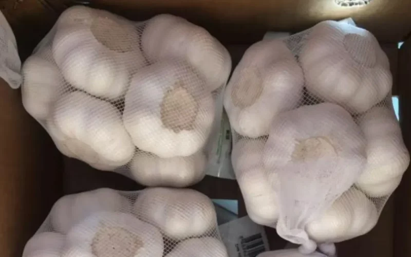 Maroc : ce que l'Europe ne vend pas finit dans les marchés