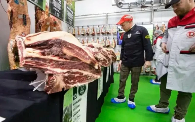 L'Algérie ferme son marché à l'Espagne 