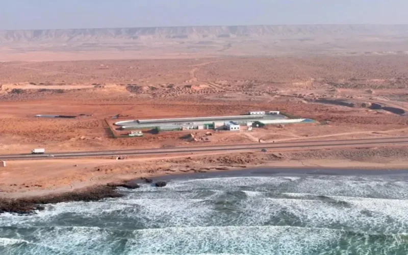 Quand le désert marocain devient le laboratoire de l'avenir climatique