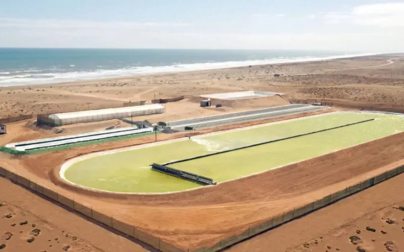 Maroc : la construction de la grande ferme d'élimination de CO2 au monde se précise
