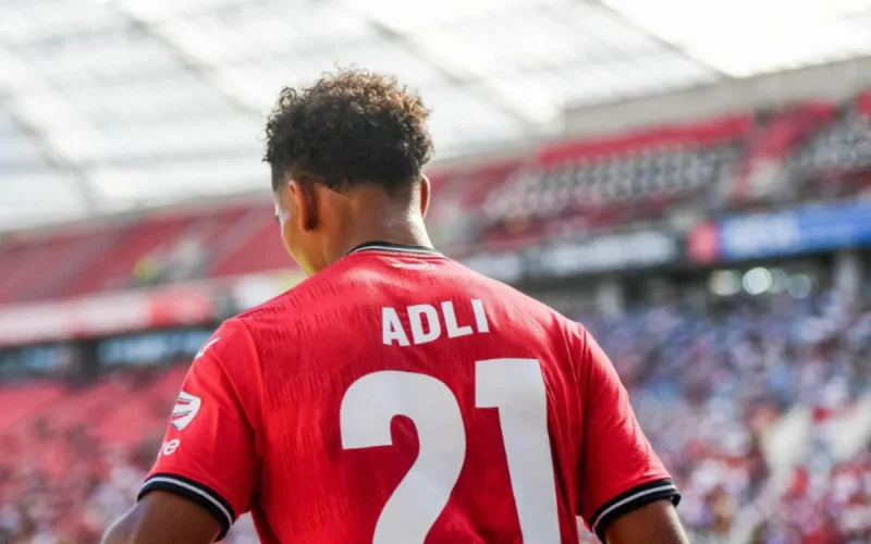Bonne nouvelle pour les Lions de l'Atlas