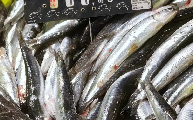 Des anchois venus du Maroc déclenchent une alerte alimentaire en France