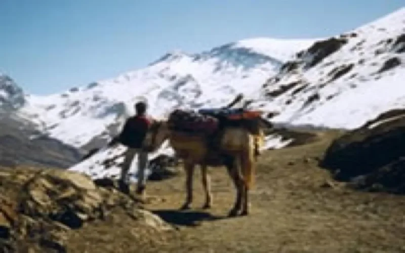 Le Maroc sous la neige, une longue tradition de sports d'hivers 