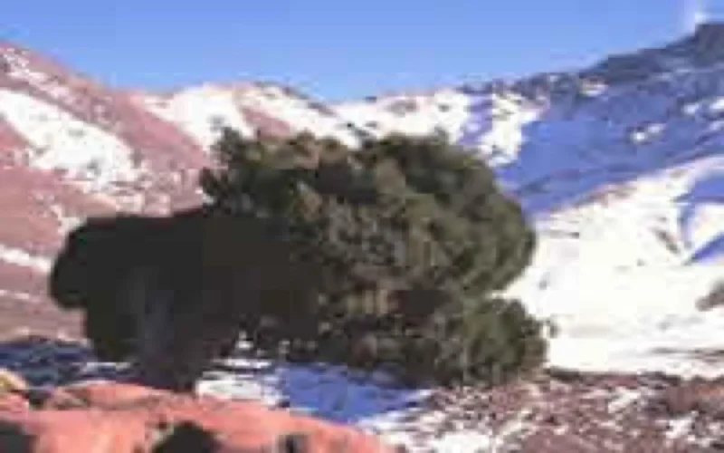 Le Maroc, une des destinations les plus prisées des Français cet hiver 