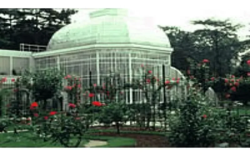 Boulogne-Billancourt : Les Couleurs du Maghreb à l'Honneur