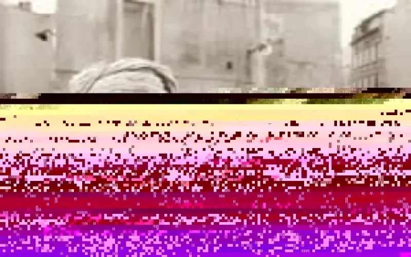 Chibanis bannis, les impôts veulent leur peau