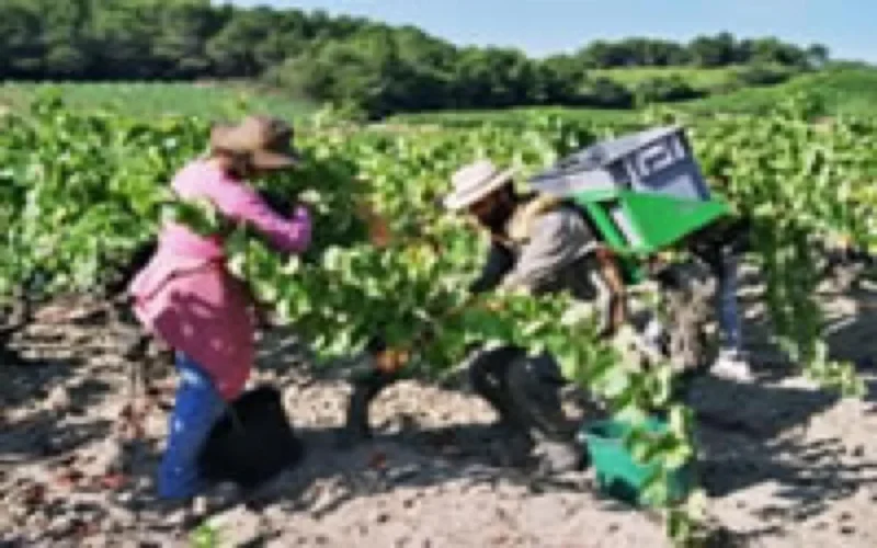 ANAPEC : Nouveau départ vers l'Espagne