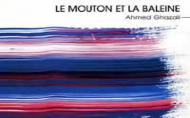 Théatre : Le mouton et la baleine ou le drame de l'immigration clandestine