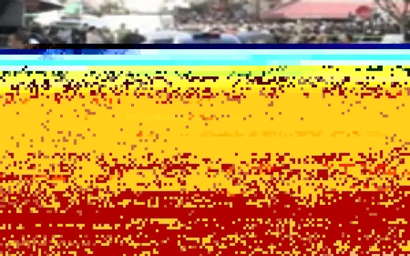 Le cerveau des attentats de Casa arrêté