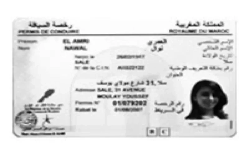 Les premiers permis de conduire informatisés