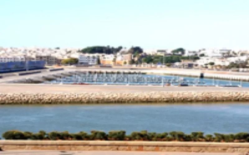 L'incroyable boom des investissements arabes