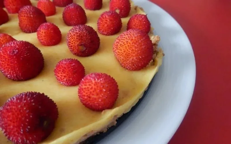 Gateaux à l'arbouse