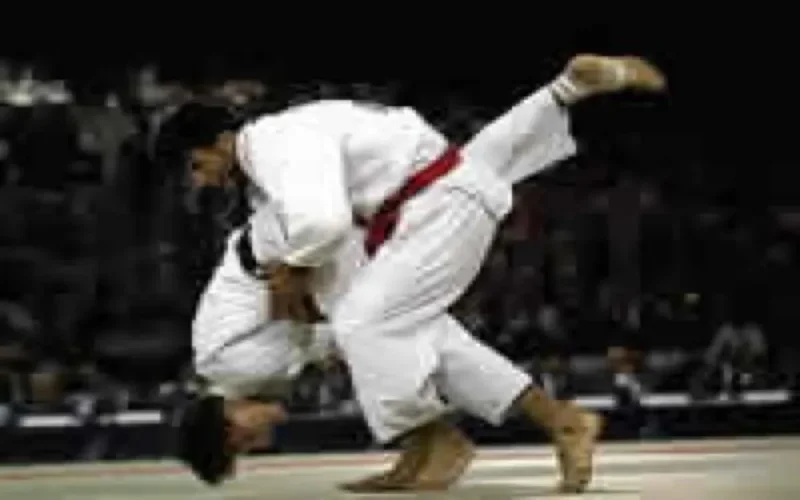 Jeux panarabes/judo : Médaille d'argent pour Younès Ahmadi 