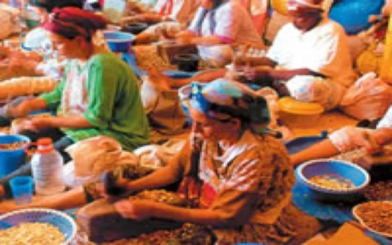 Le Maroc présent à plusieurs rencontres culturelles à Bruxelles 