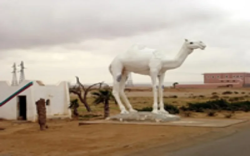 Plus de 10 milliards de DH d'investissements d'ici 2012 pour les provinces du sud