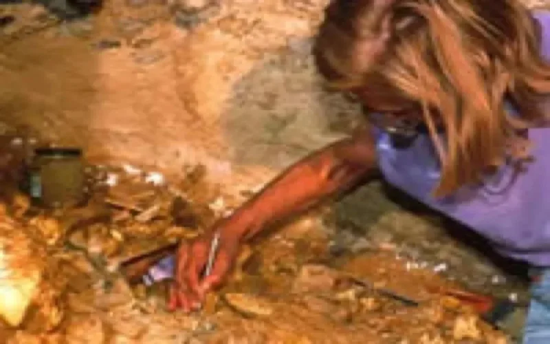 Un fossile vieux de 300 millions d'années découvert au Maroc 