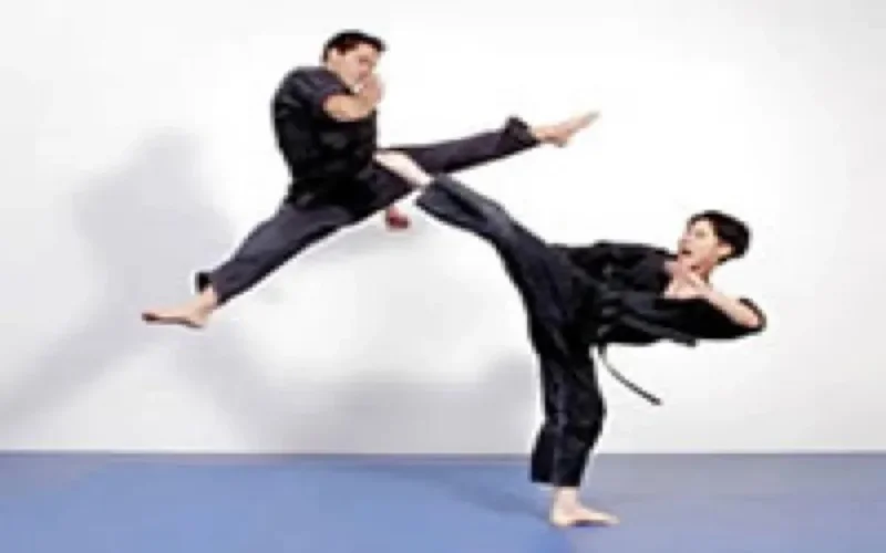 Trois médailles pour le Maroc au championnats maghrébins de Kung Fu