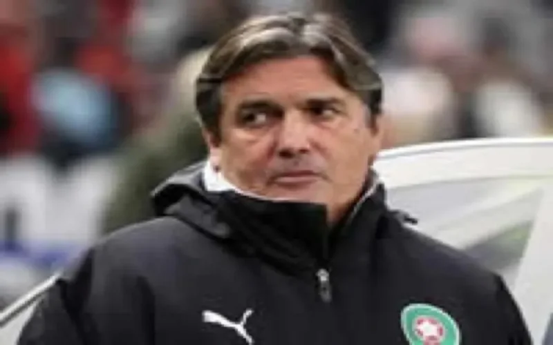 Selon Henri Michel l'équipe nationale ne compte pas de grosses pointures