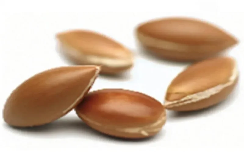 Argan : Le label Maroc menacé ?