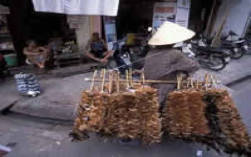 Rabat et Hanoi définissent les traits de leur coopération