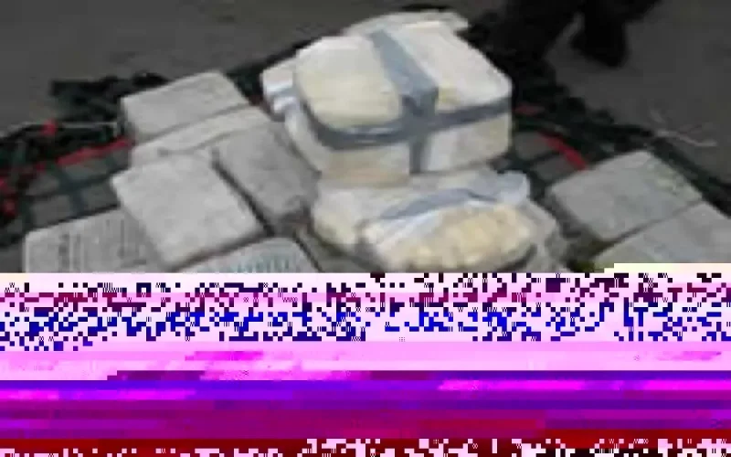 Drogue : De 1 à 8 ans de prison et 9,5 MDH de saisies au profit de l'état