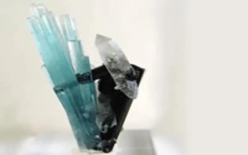 Le Maroc à la Bourse aux minéraux et aux fossiles à La Ciotat 