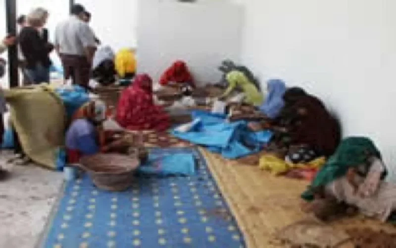 Projet euro-marocain pour le développement de l'Oriental