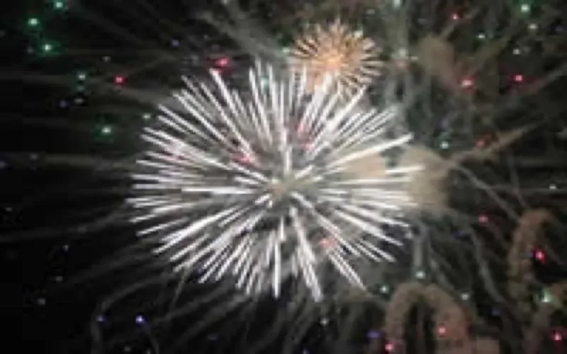 14 juillet : un raffermissement renouvelé de la solidarité maroco-française