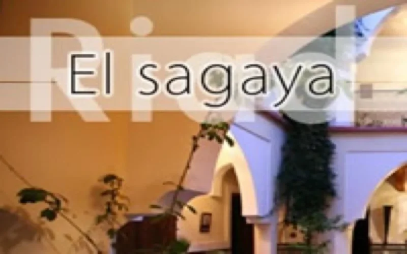 Riad Elsagaya