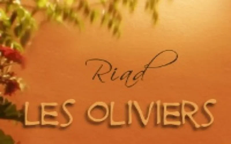 Riad les Oliviers