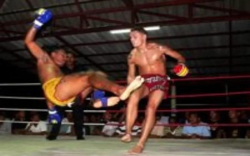 Le Maroc au Mondiaux 2008 de thaï boxing