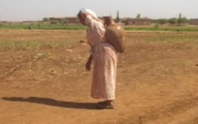 Don allemand d'un milliard de dirhams pour le développement