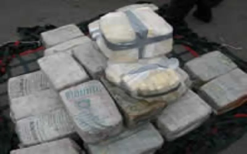 105 tonnes de drogue saisies et 7000 personnes arrêtées en 2008