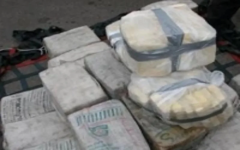 Plus de 150 tonnes de drogues saisies en 2008