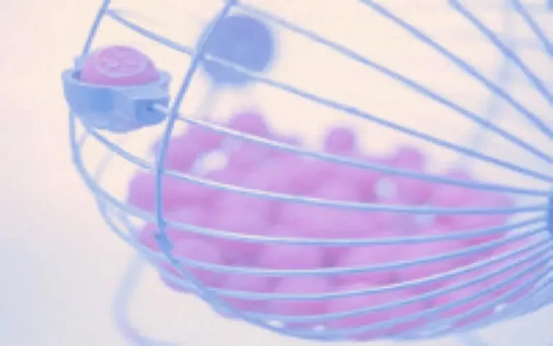 Loto : 30 ans d'existence et 15 milliardaires