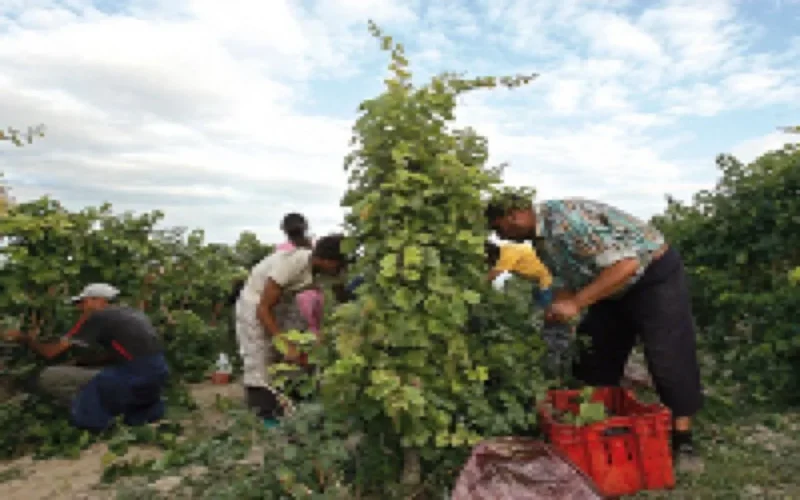 Crise économique : les MRE paient les pots cassés 