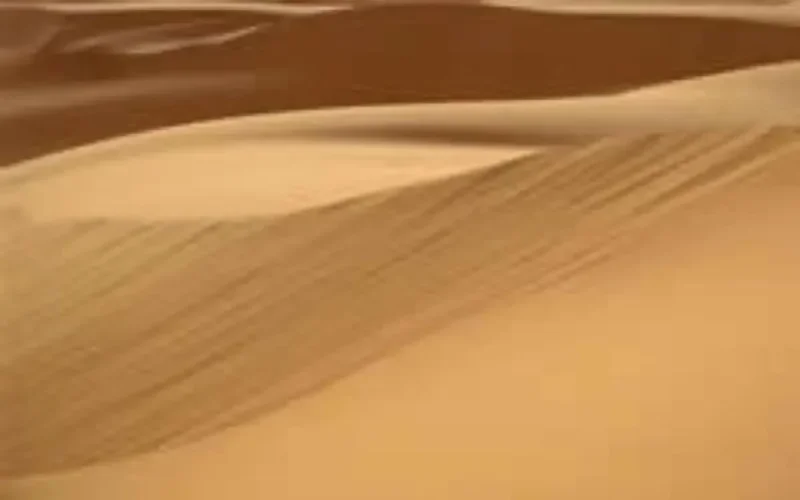 Festival des musiques du désert : culture ancestrale et originalité musicale