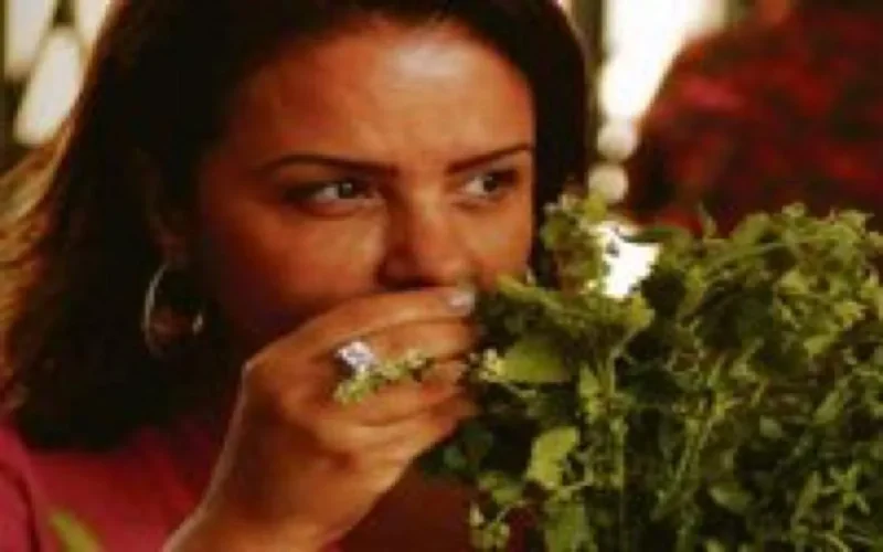 Le Maroc de Fatéma Hal : complexe, raffiné, métissé