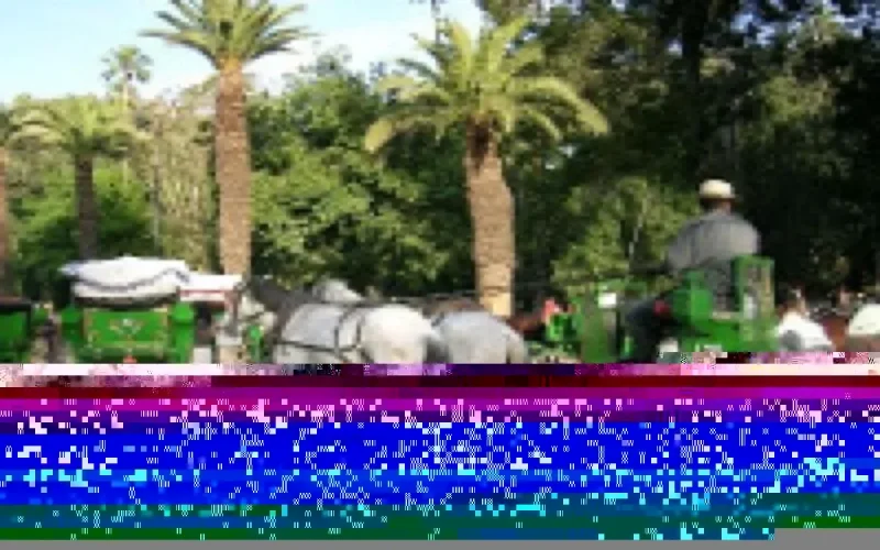 Marrakech : une ville de contrastes